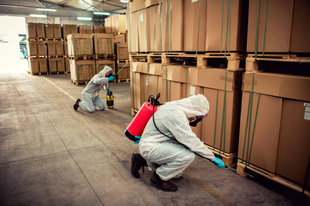 Best Pest Control for Businesses  in Park City, TN