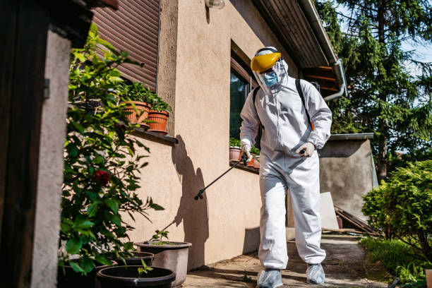 Best Rat Extermination Near Me  in Park City, TN