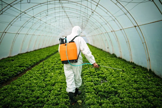Best Affordable Pest Control Services  in Park City, TN