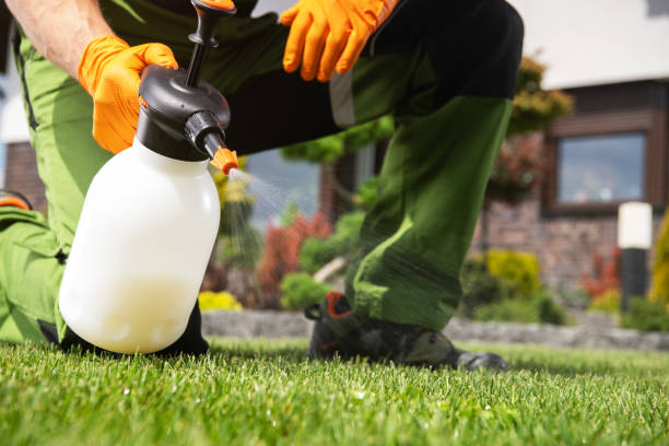 Best Emergency Pest Control  in Park City, TN