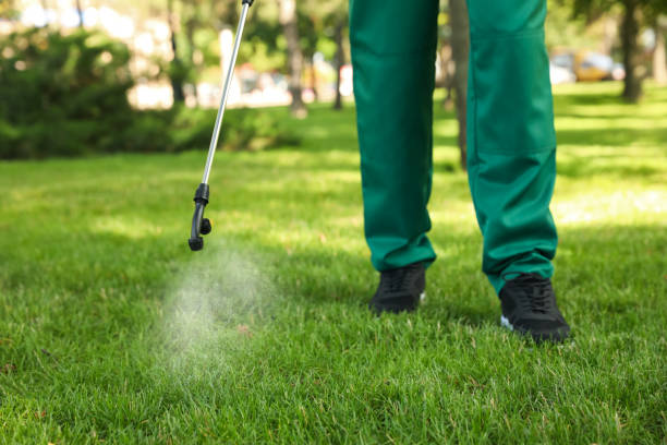 Best Insect Control  in Park City, TN