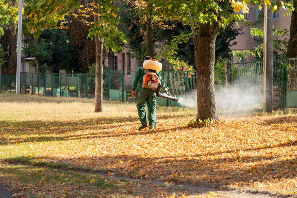 Best Flea Control Services  in Park City, TN