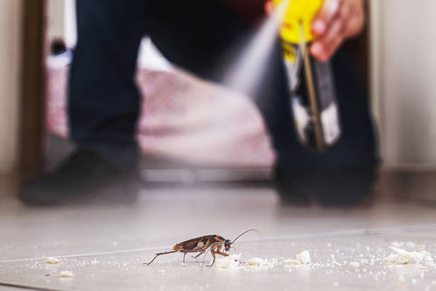 Professional Pest Control in Park City, TN