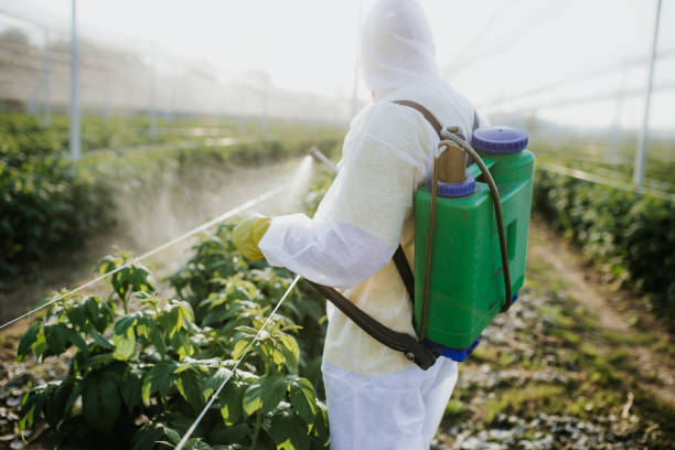 Best Commercial Pest Control Services  in Park City, TN